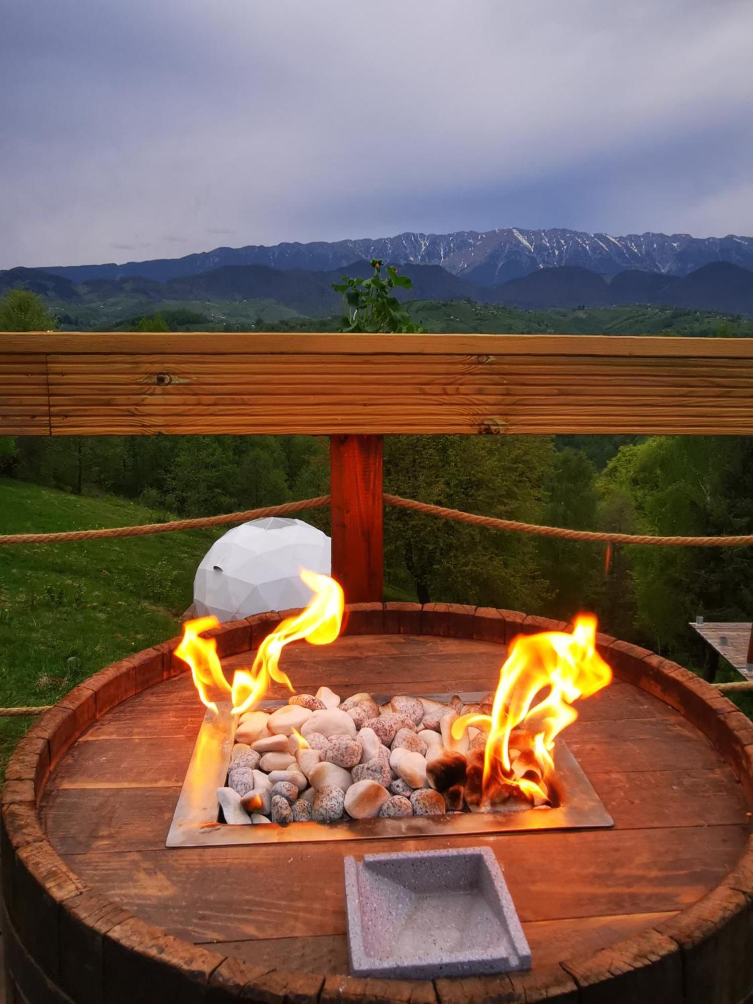 Hotel Glamping Zazen Drumu Carului Exterior foto